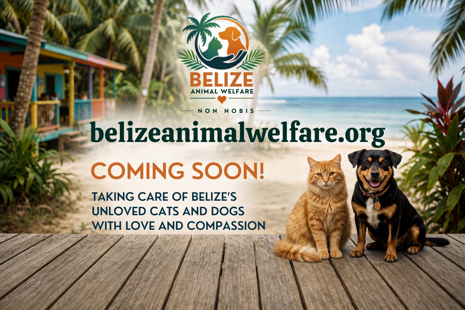 Belize Animal Welfare